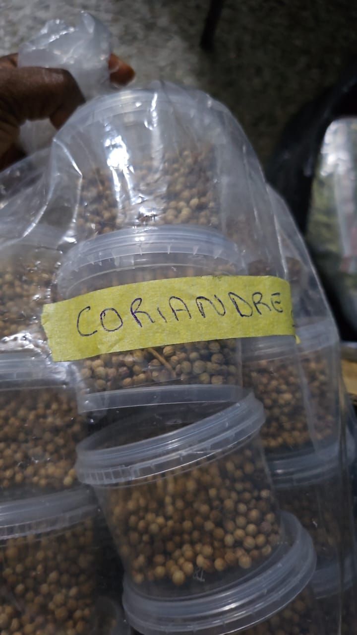 LA GRAINE DE CORIANDRE